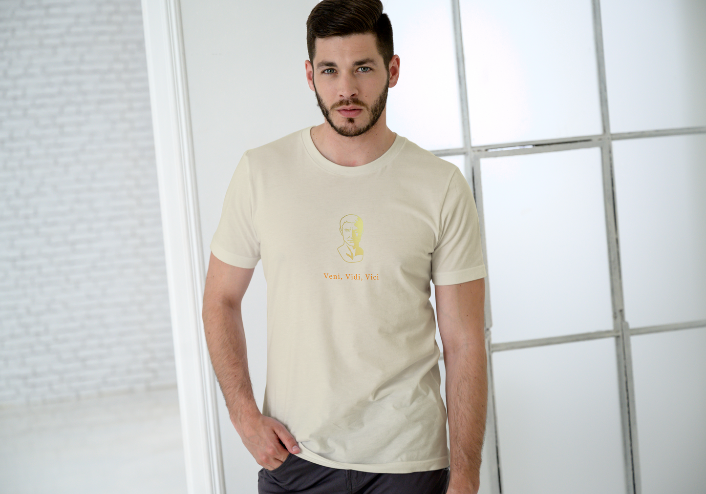 Veni, Vidi, Vici - Mens Tee